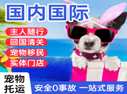 张孝机场空运国际宠物托运 【国